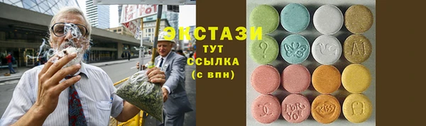 сатива Няндома