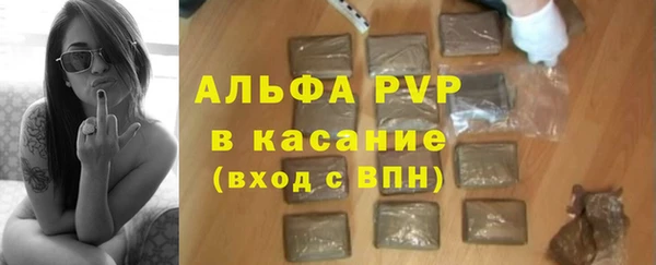 сатива Няндома