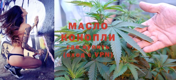 сатива Няндома