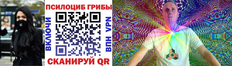 Галлюциногенные грибы Psilocybine cubensis  shop наркотические препараты  Шадринск 