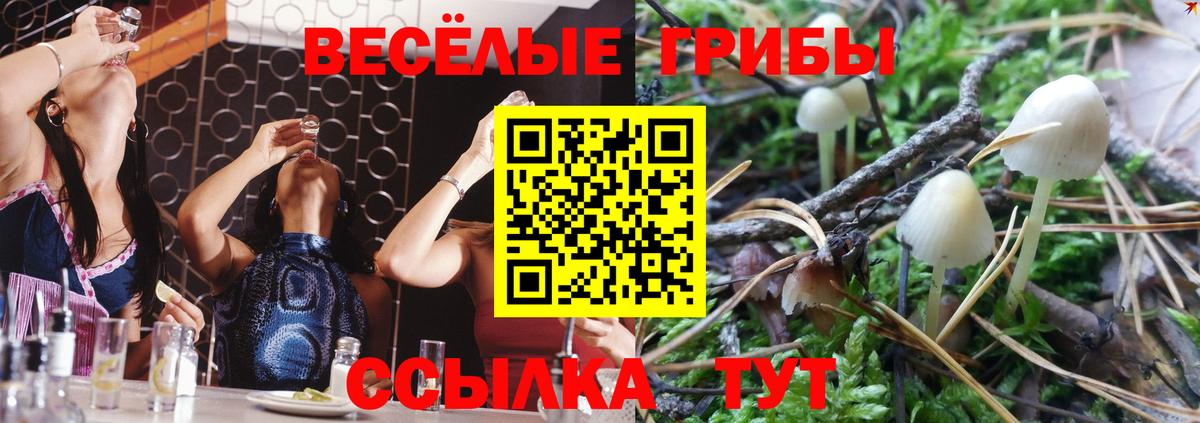 Шадринск  Галлюциногенные грибы мухоморы  Вход с VPN  Галлюциногенные грибы прущие грибы 