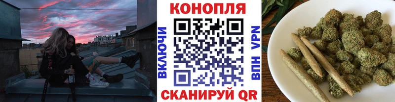 Канабис VHQ сколько стоит darknet официальный сайт Шадринск